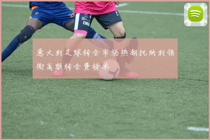 意大利足球转会市场热潮托纳利领衔高额转会费榜单