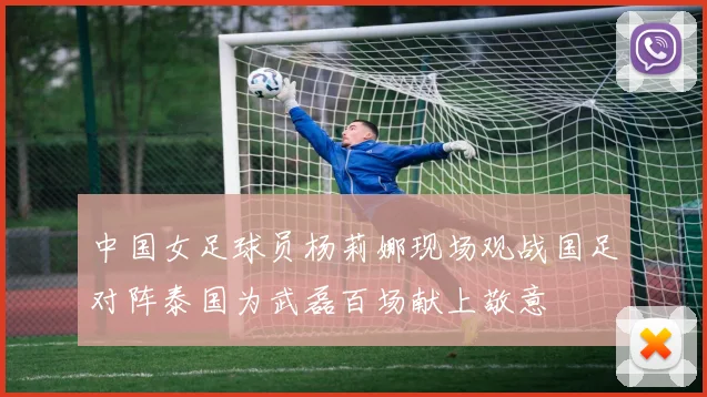 中国女足球员杨莉娜现场观战国足对阵泰国为武磊百场献上敬意