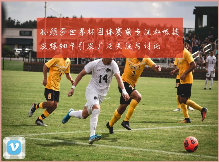 孙颖莎世界杯团体赛前专注加练接发球细节引发广泛关注与讨论